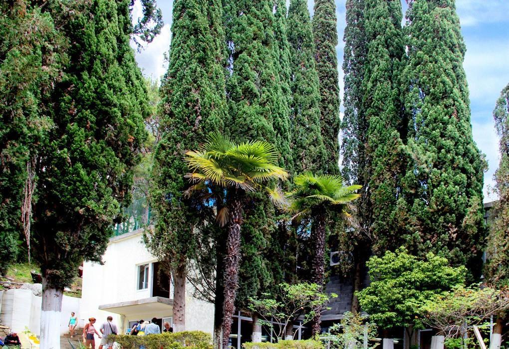 Pansionat Solnechniy กากรา ภายนอก รูปภาพ